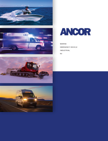 The cover of the 2025 Ancor Catalog.