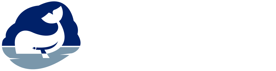 Whale Logo